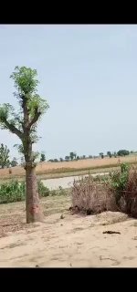Bandits Move Freely in Sokoto State Town
